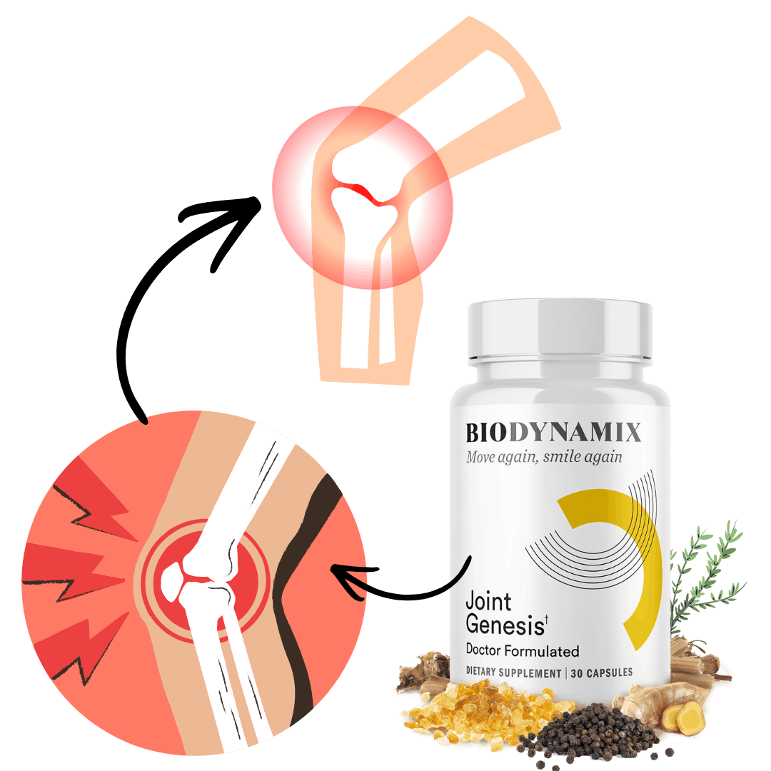 How BIODYNAMIX Works (1)